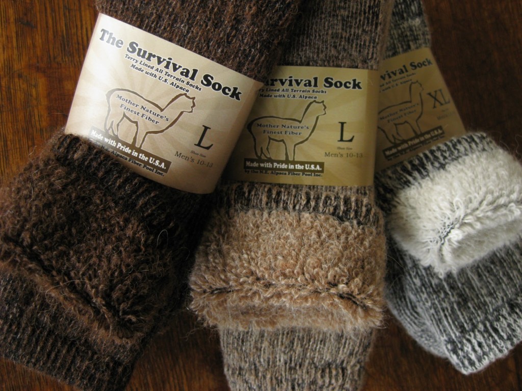 alpaca socks bitcoins